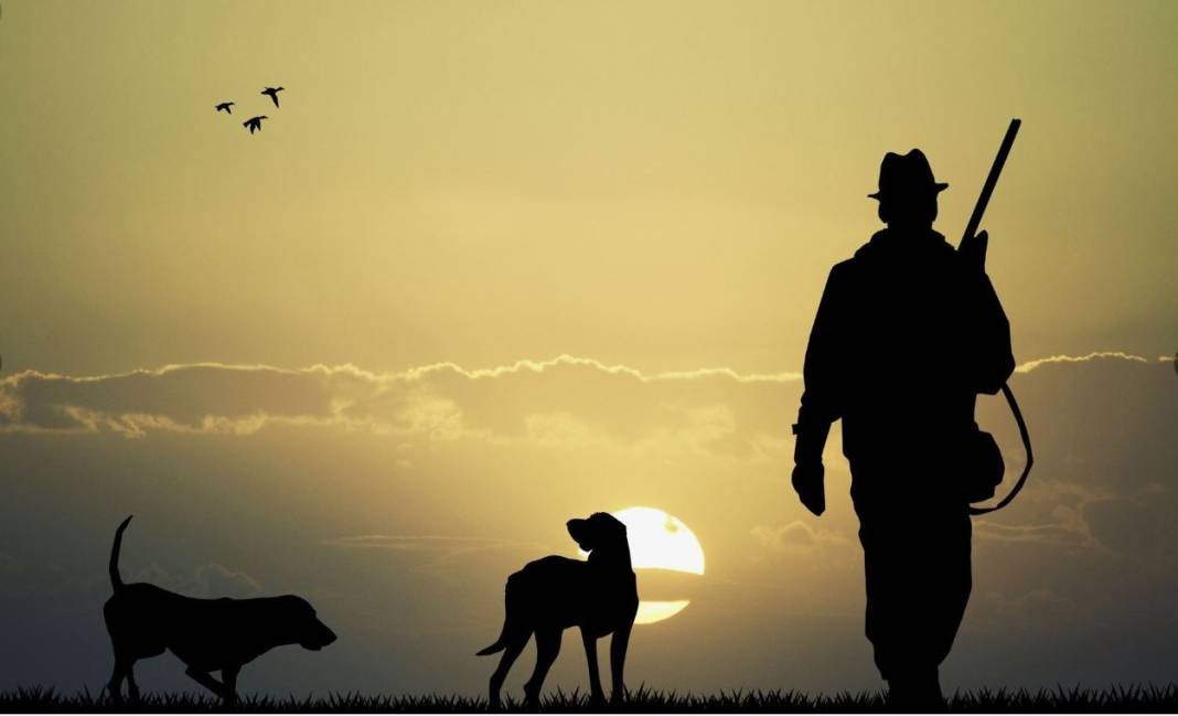 Anadolu Parsını avlayanlar yandı! Cezası 30 milyon lira - Resim: 36